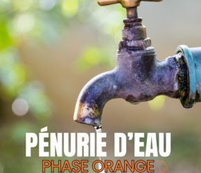 Pénurie d&rsquo;eau
