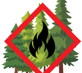 Vigilance en forêt: Appel à la prudence